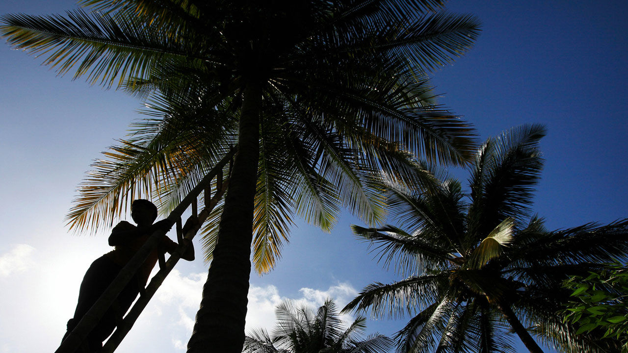 Coconut Knowledge Center